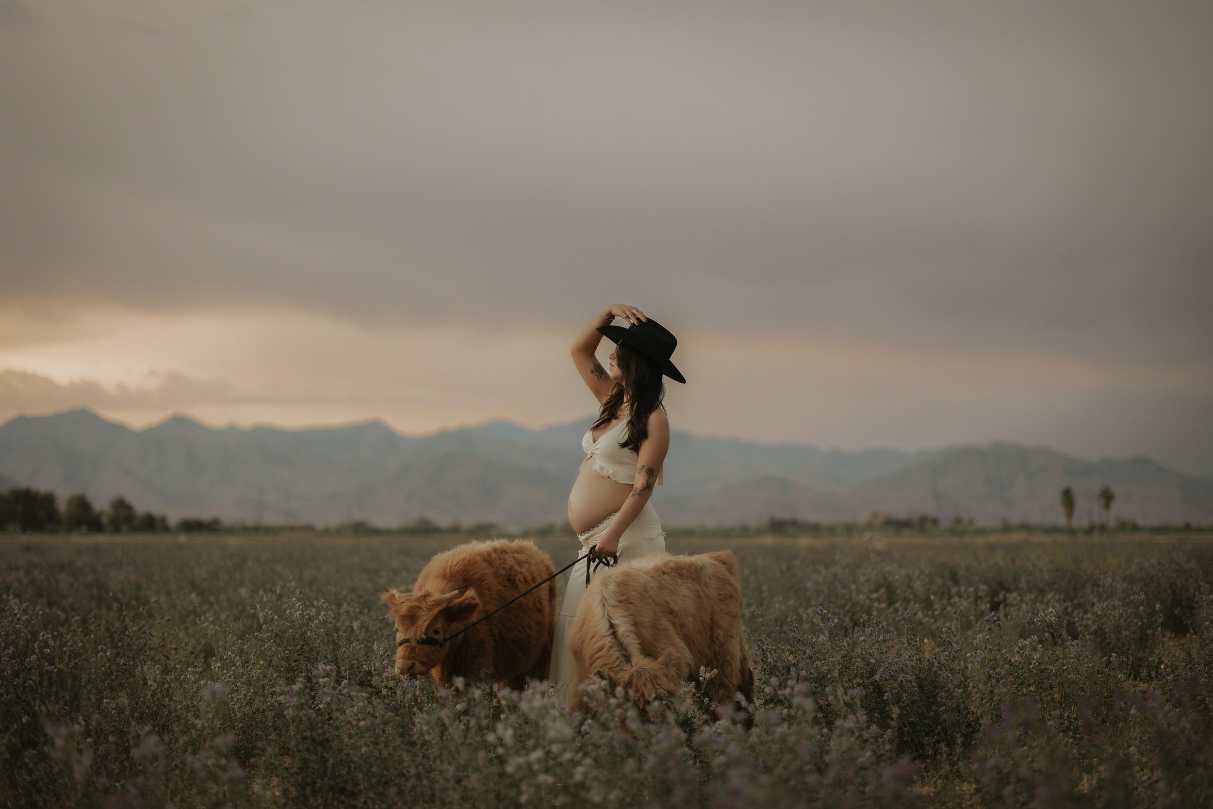 Buckeye, Arizona Maternity Session: A Western Family Photoshoot with Highland Cows