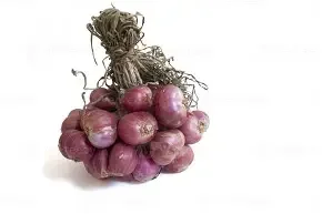 shallot.webp