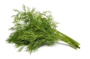 dill.webp