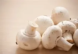 mushrooms.webp