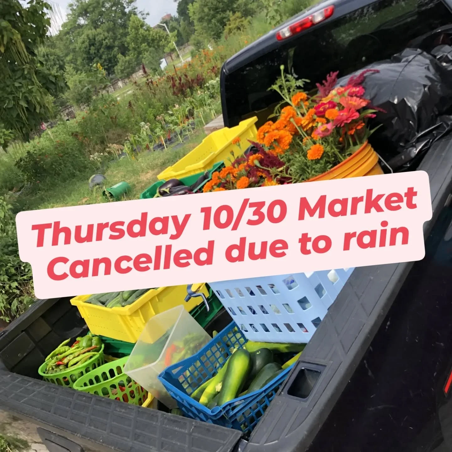 π§οΈ Heads up, neighbors!
 We’re preemptively cancelling this Thursday’s market due to the forecasted rain.
BUT—don’t worry! You can still get your fresh, free produce TONIGHT (Tuesday) from 4:30–6PM at 1309 Homewood Aven