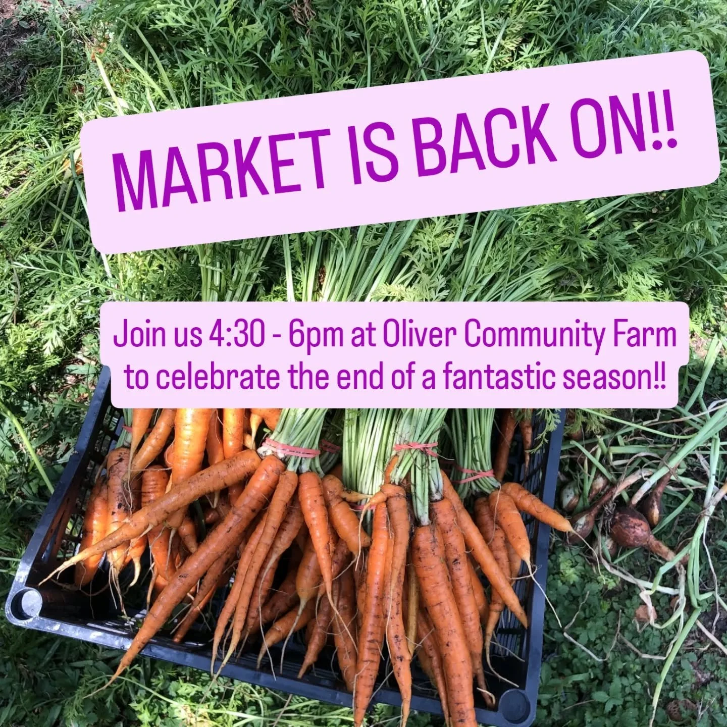Plot twist &mdash; the weather&rsquo;s cleared, and market is back ON tonight! 🥳
Come celebrate our last weekly market of the year with us at 1309 Homewood Ave, 4:30&ndash;6PM.
Free, fresh produce, good vibes, and a perfect way to close out the seas