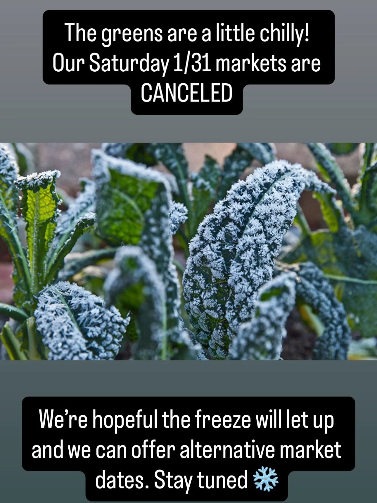 SWIPE ➡️ for a few Urban Farming &amp; Urban Canopy updates. 

Stay warm !