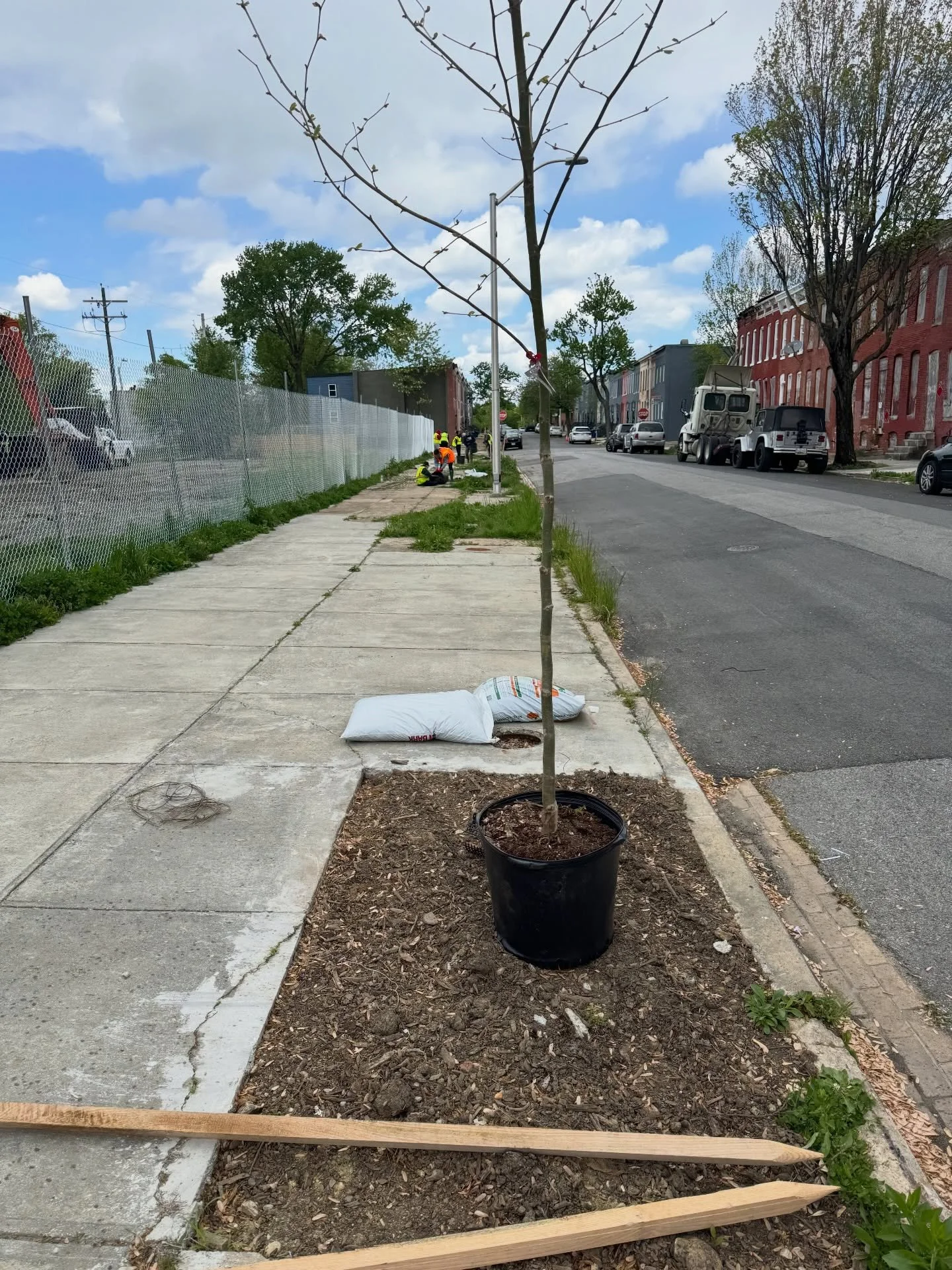 127 Trees planted this week 🤯

We want to say thank you to every supporter , volunteer, donation, tool rental, logistics planner and so much more for making the Plant the Future: Arbor Week Planning that much more special.

🌳 Everyday is Earth Day 