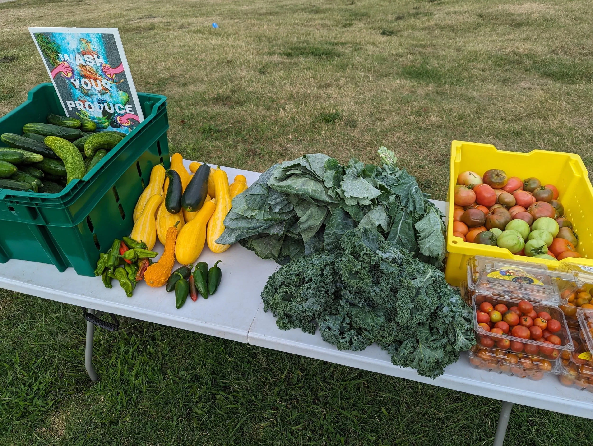🌱 Market season is in full swing!
Join us each week for fresh, locally grown produce and opportunities to connect with neighbors.
📍 Tuesdays at Johnston Square Farm &amp; Garden 📍 Thursdays at Oliver Community Farm
5:30 PM &ndash; 7 PM
See you at 