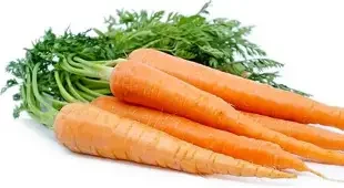 carrots.webp