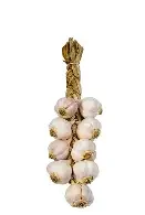 garlic 2.webp