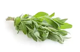 sage.webp