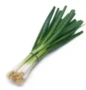 green onion.webp