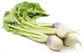 purple turnips.webp