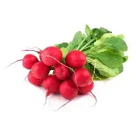 radish.webp