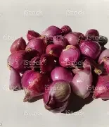 onions.webp