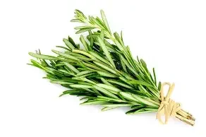 rosemary.webp