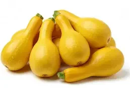 summer squash.webp