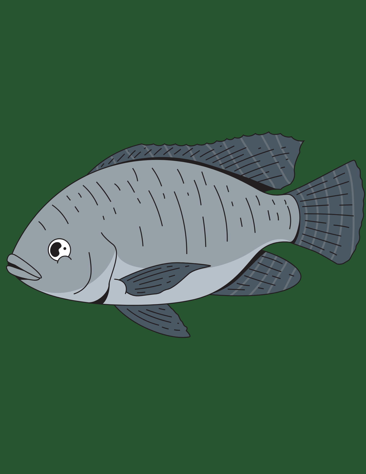 78.png