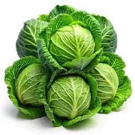 cabbage.webp