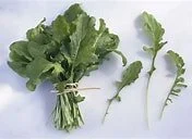 arugula.jpeg