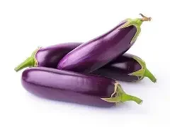 eggplant.webp