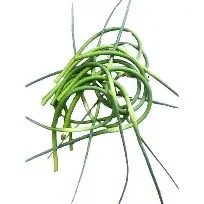 garlic scapes.webp