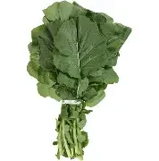 turnip green.webp