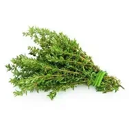 thyme.webp