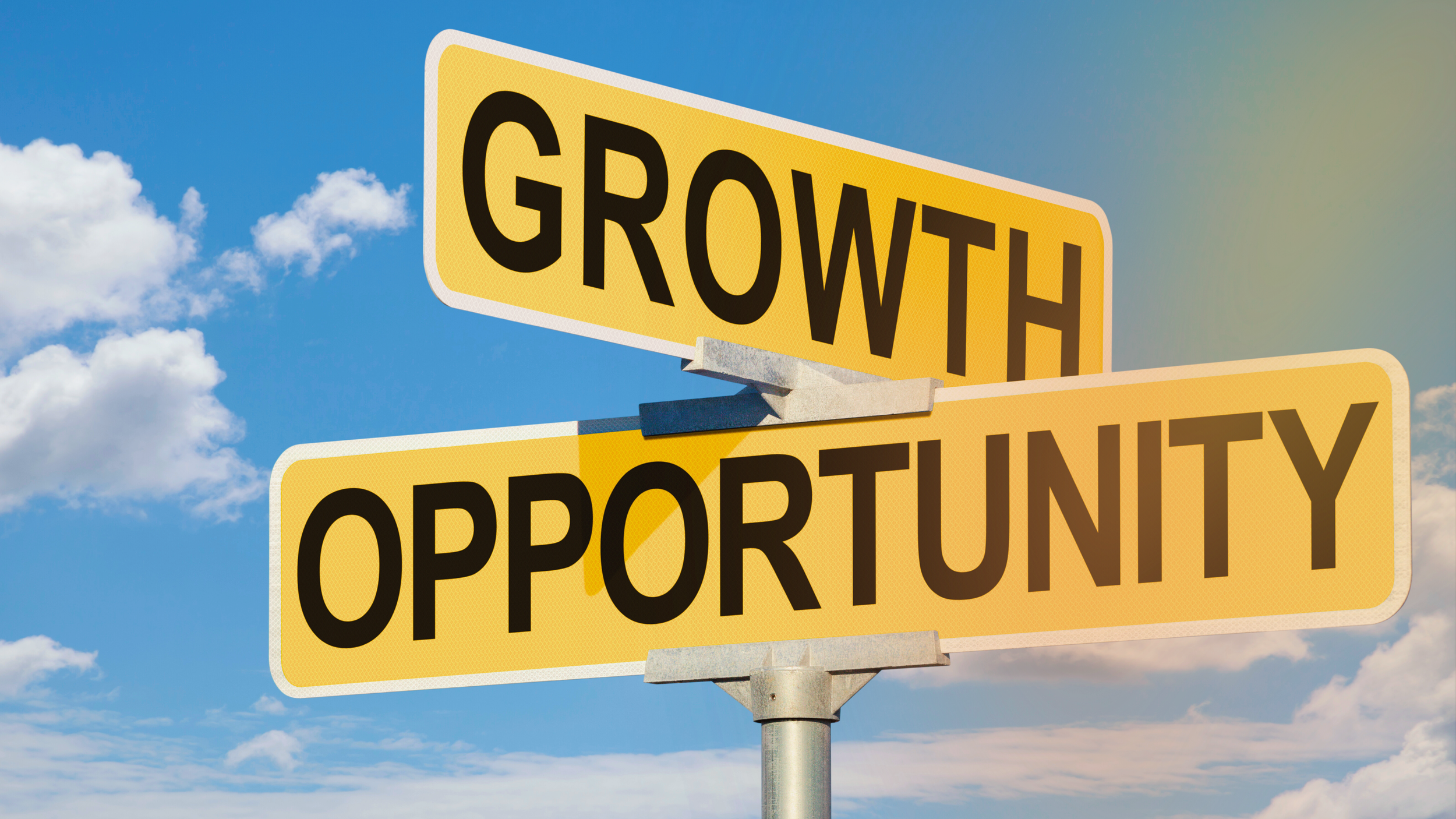 Thriving Through Change: Turning Adversity into Opportunity
