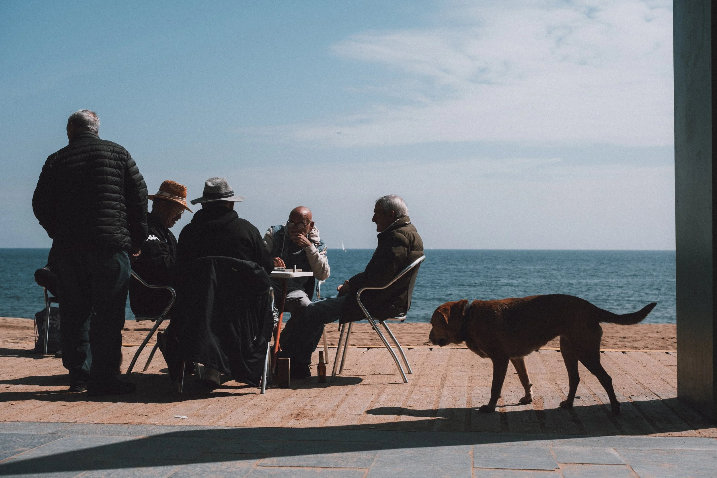 A group of five older adults sitting and standing at a table near the ocean, with one person playing chess and others engaged in conversation. A dogwalks past in the foreground, and the sky is partly cloudy.