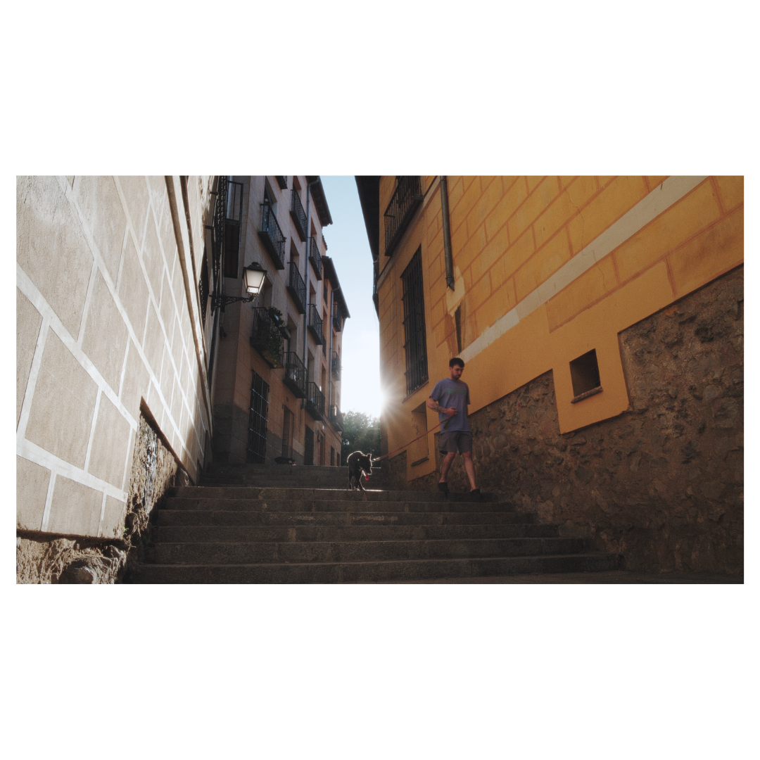 Untitled design (10).png