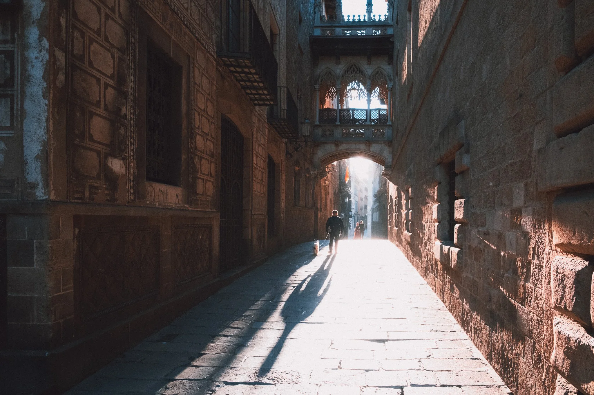 A person walking a dog down a sunlit alleyway with tall brick buildings on either side and an arched bridge overhead.
