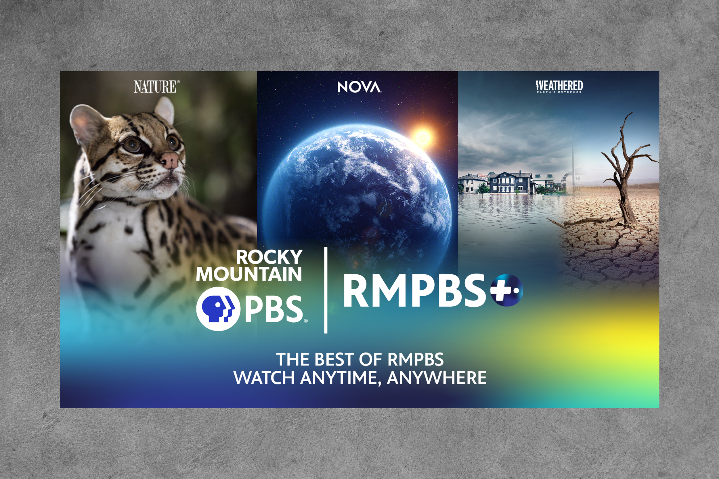 RMPBS+ Screen Card