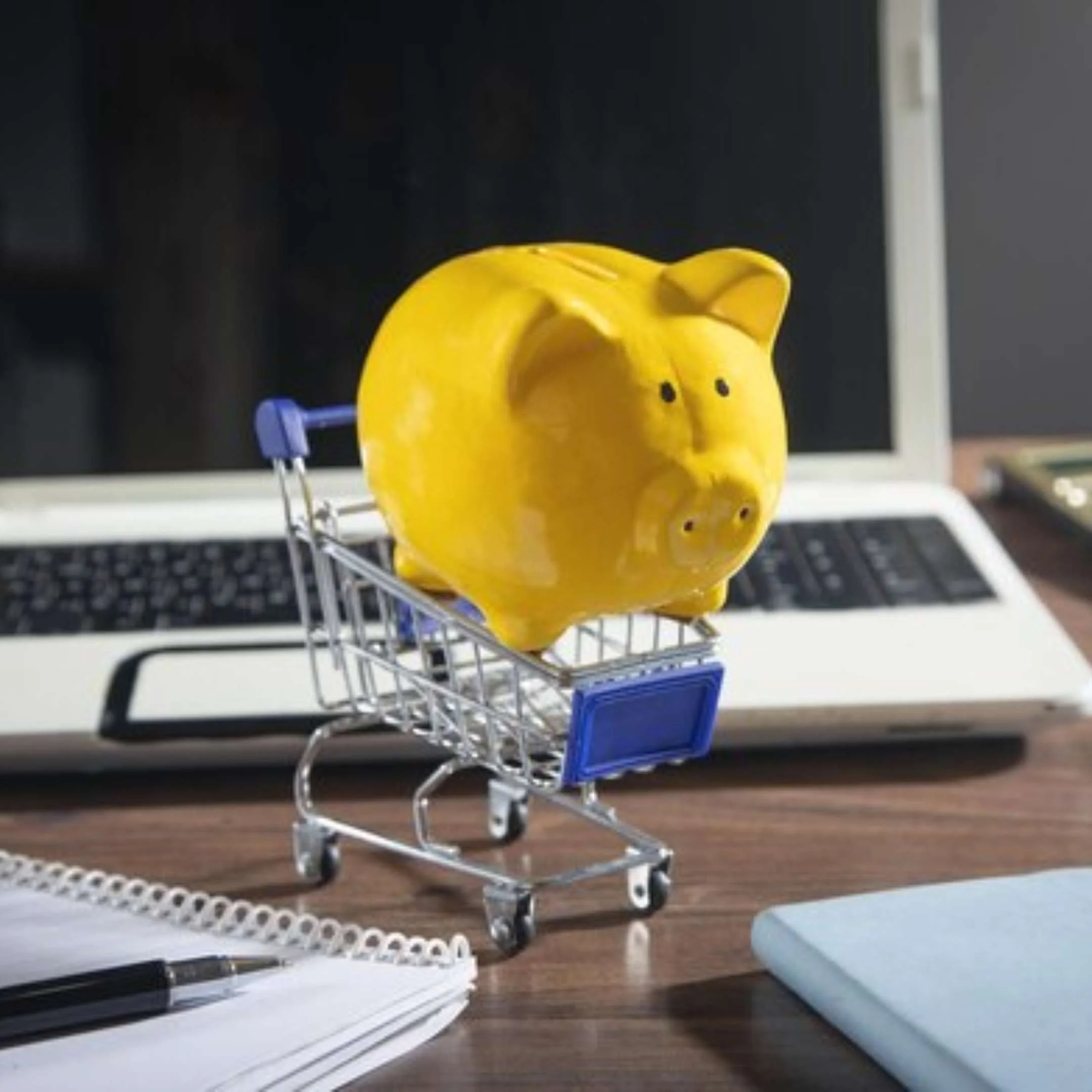Maximize Your Savings: Smart Shopping Strategies That Work