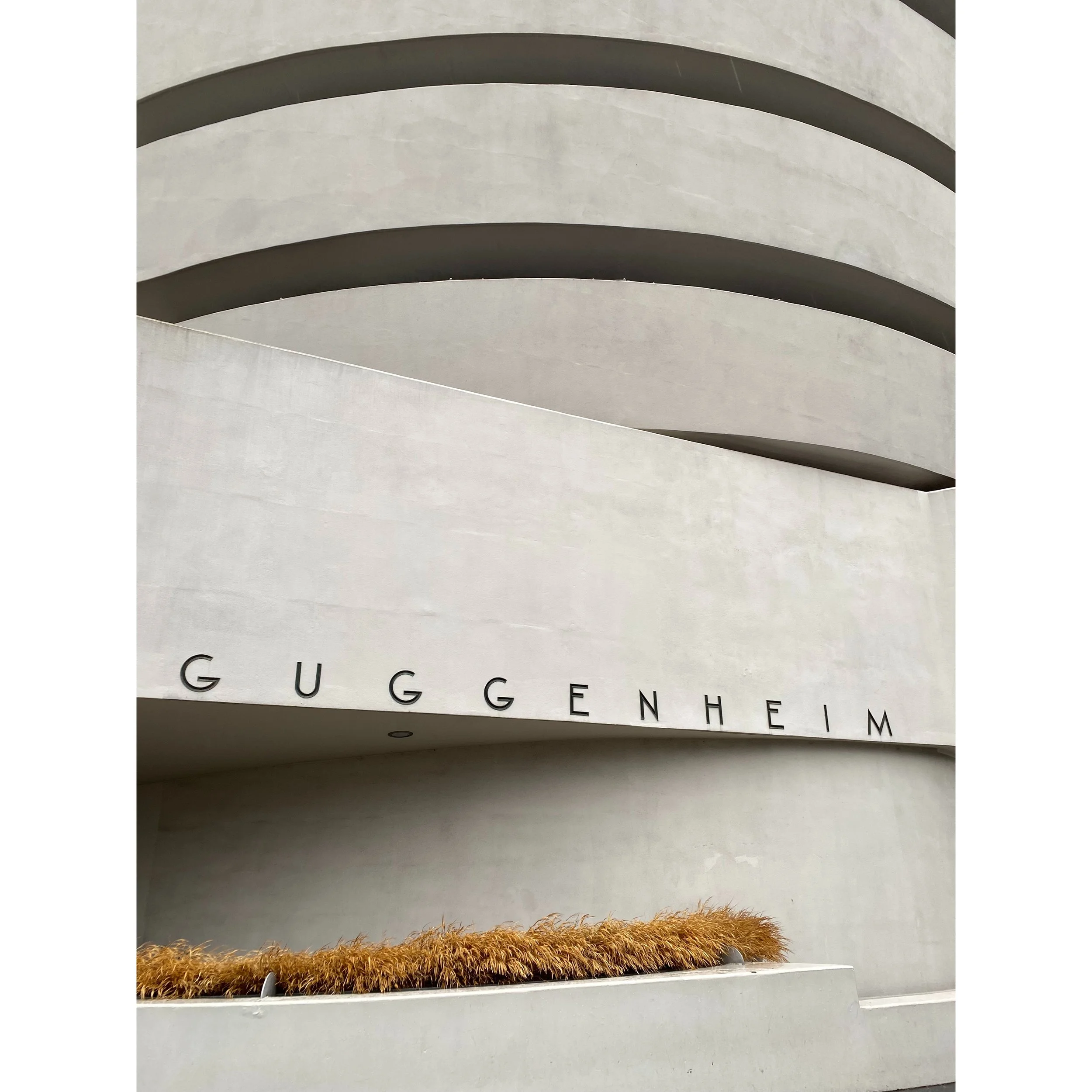 Solomon R. Guggenheim Museum. UES, NY. 2023. 