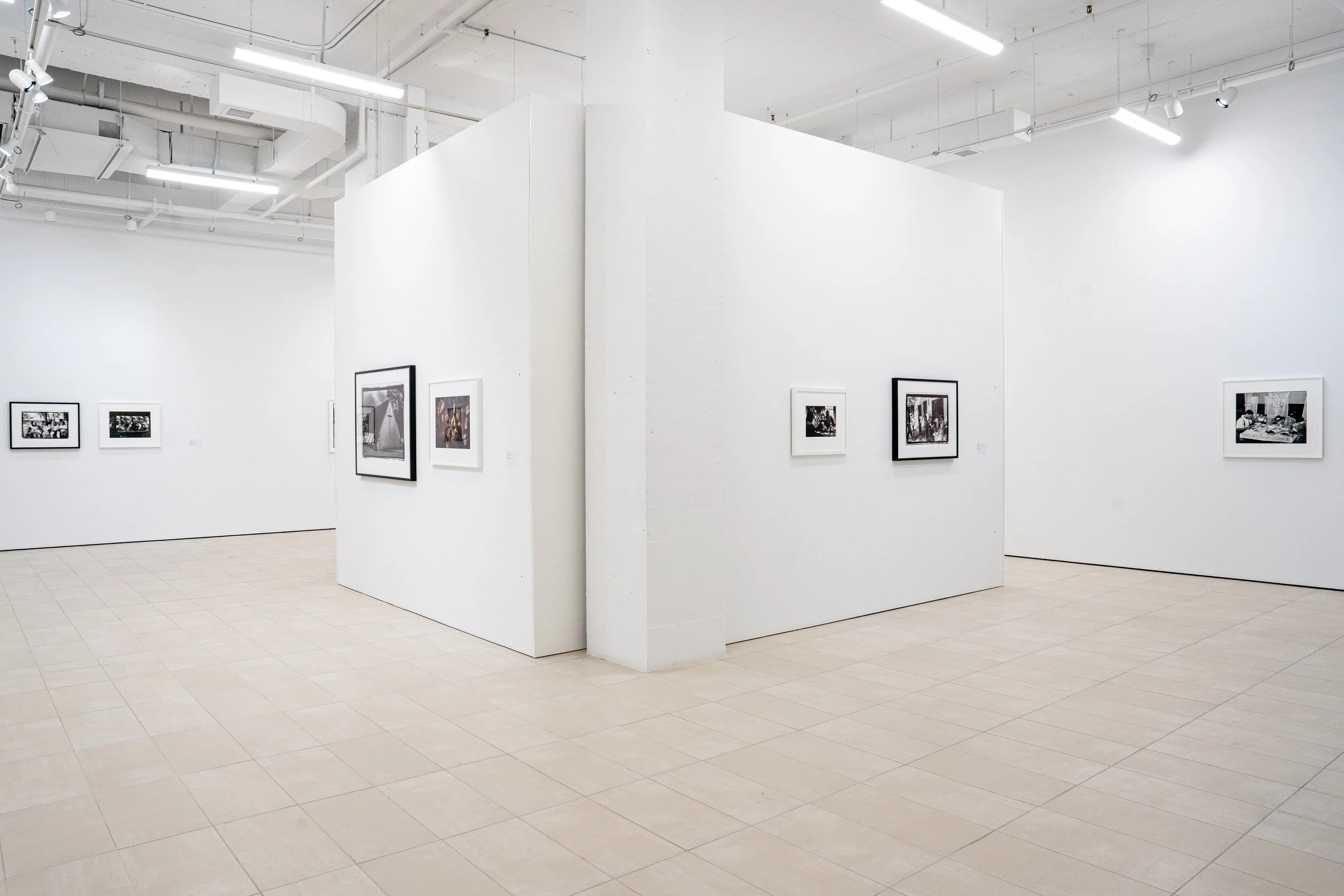 Gordon Parks x Beverly Price_Itzel Alejandara -63.jpg