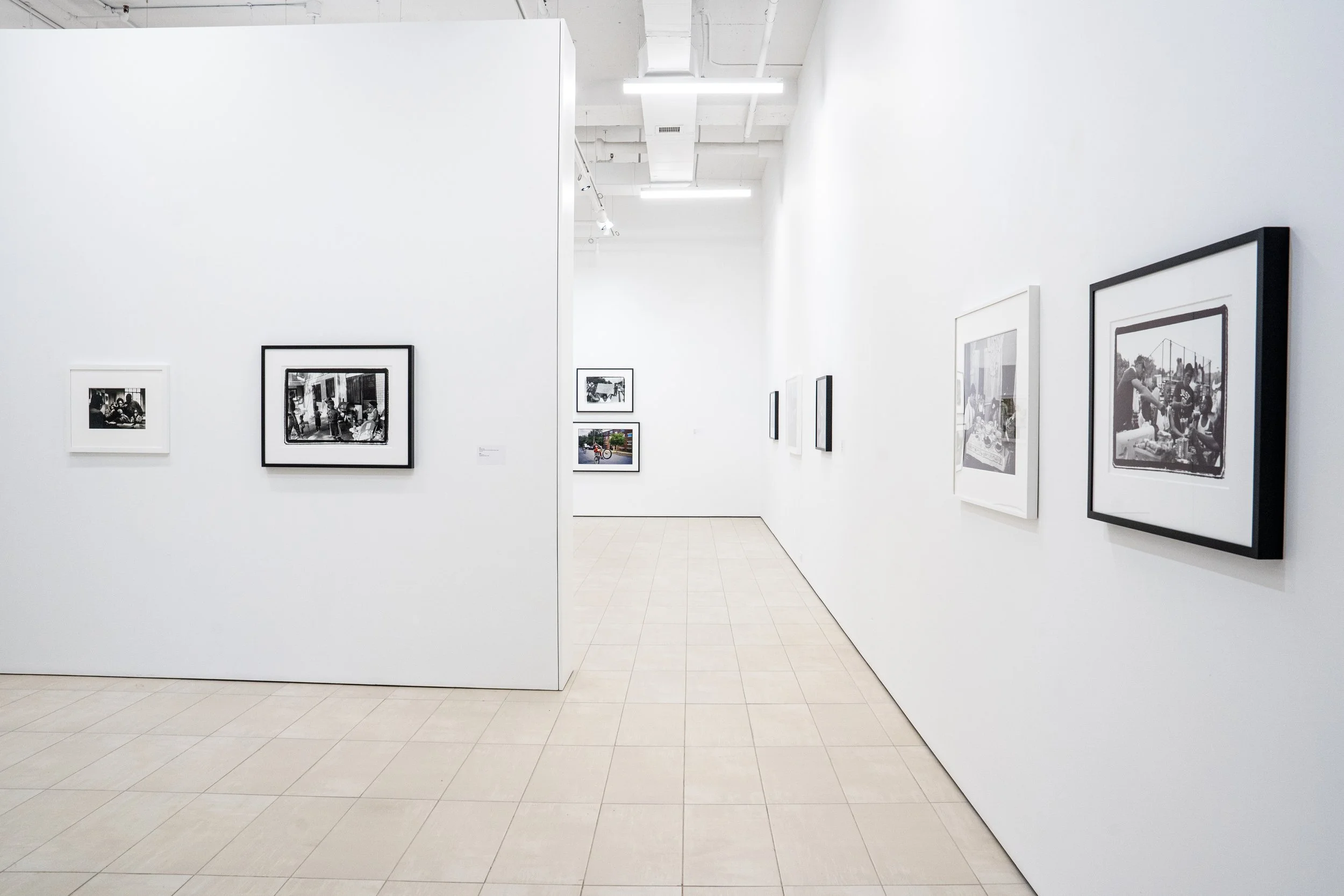 Gordon Parks x Beverly Price_Itzel Alejandara -62.jpg