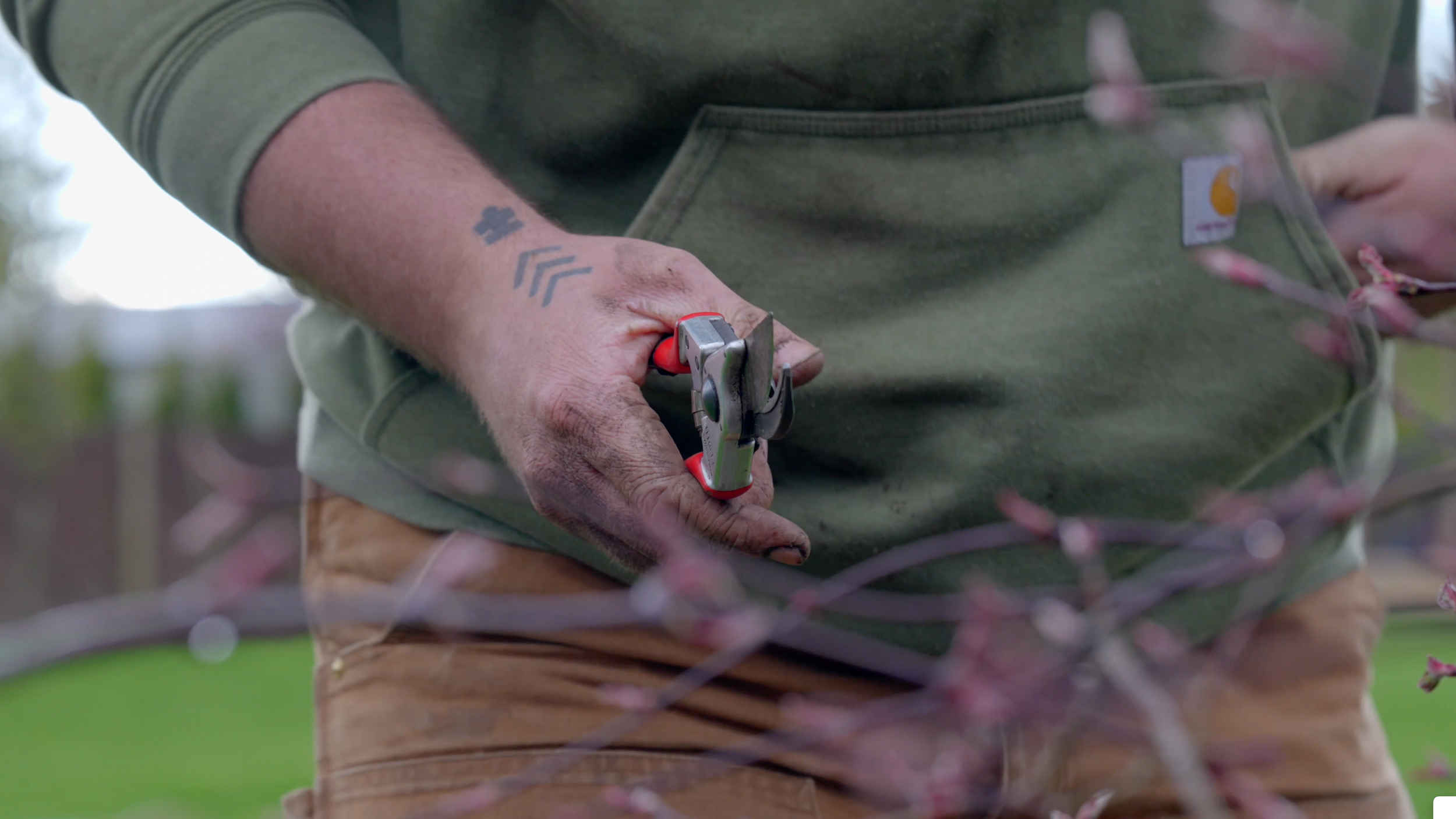 LANDSCAPE MAINTENANCE