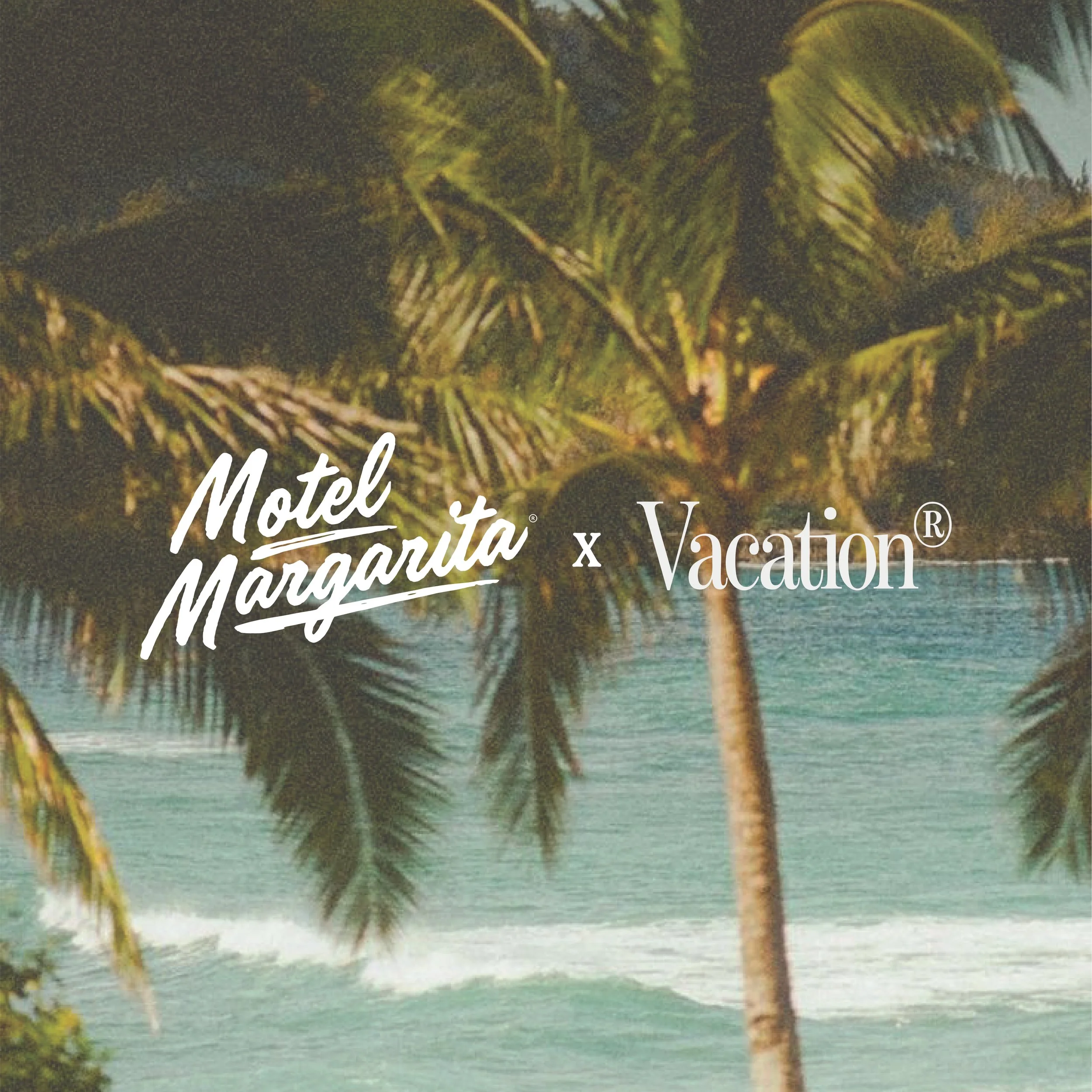 motel margarita x vacation