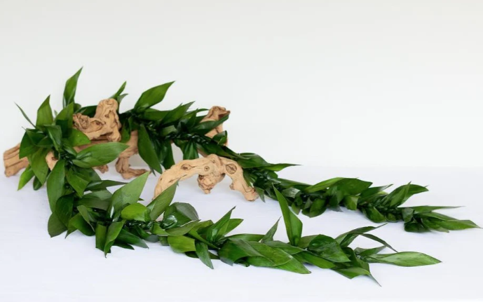 Ti leaf lei vs 1.png