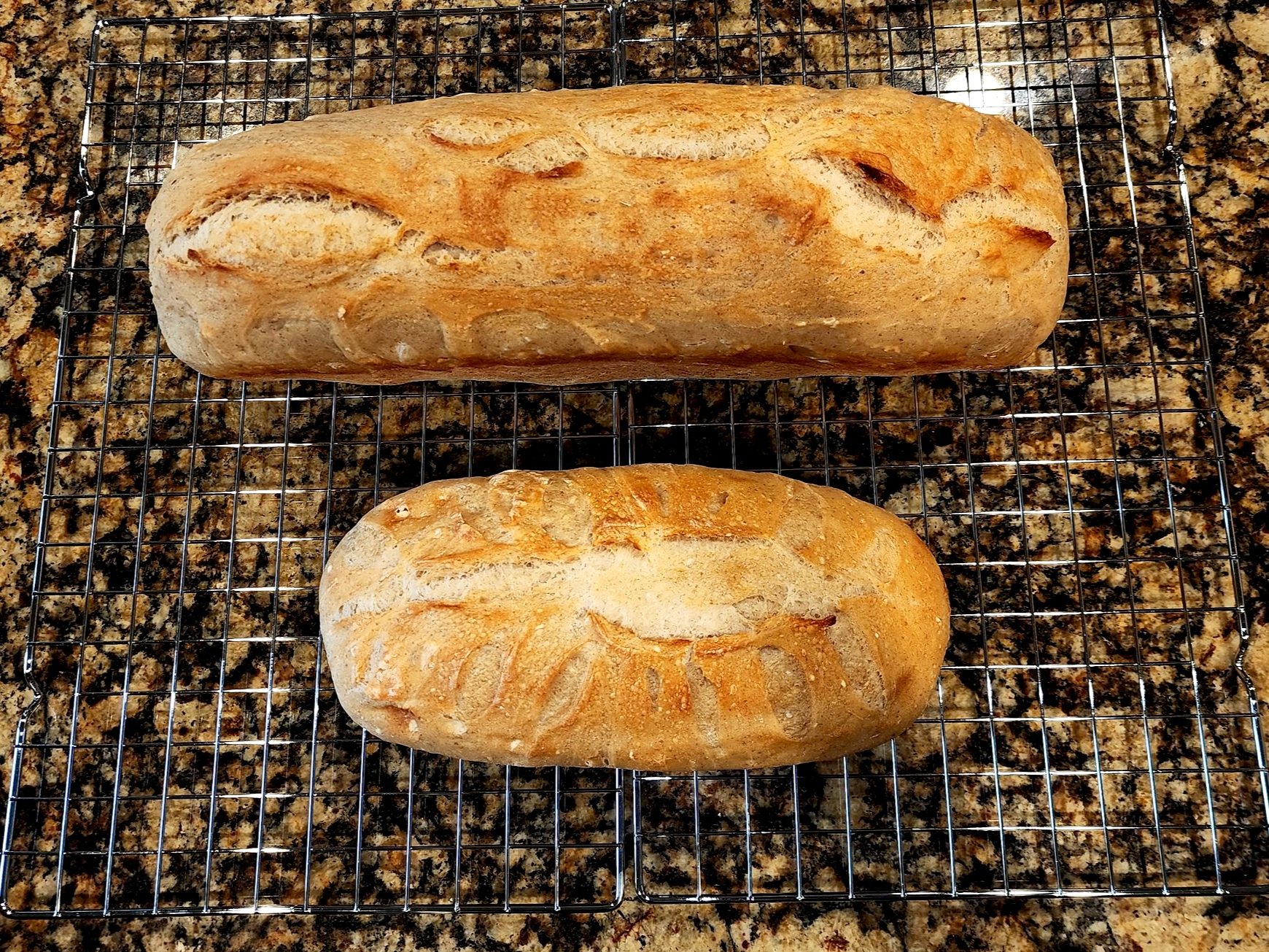 Homemade Bread Double Loaf