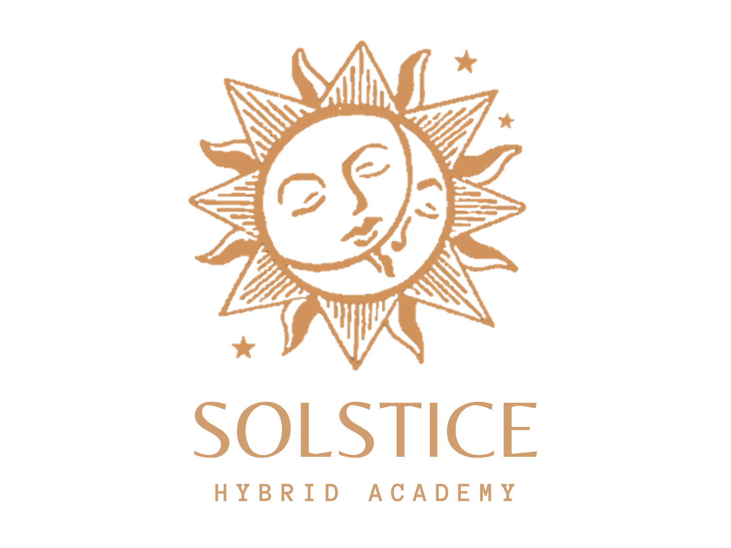 Solstice Hybrid Academy