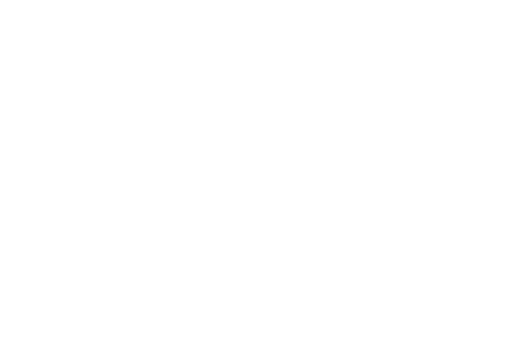 IMG_3627.PNG