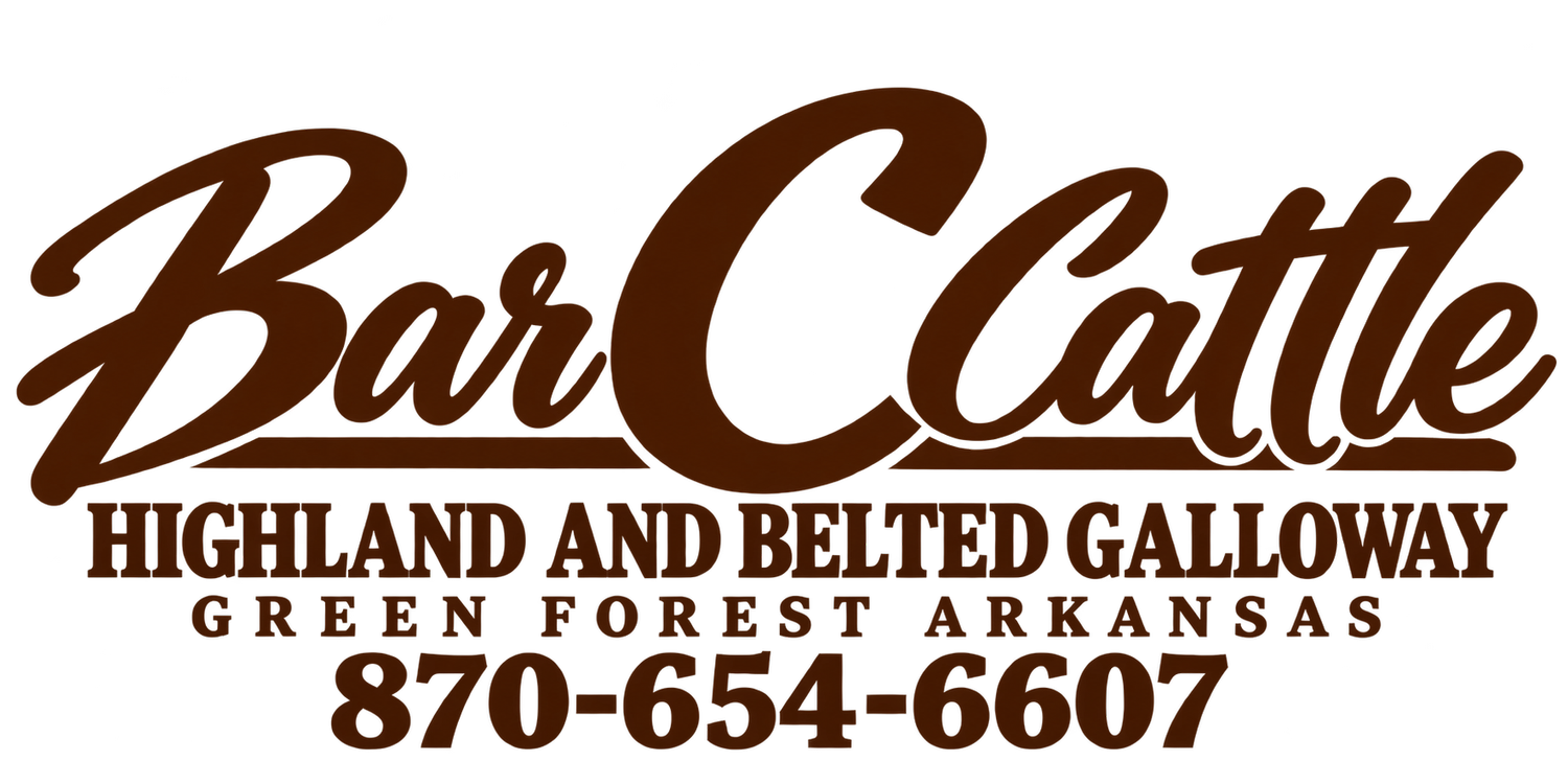 Bar C Highland Cattle 