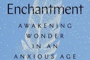 Books Sparking Joy - Enchantment: Awakening Wonder In an Anxious Age by Katherine May