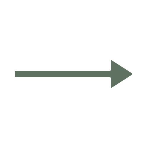 Green, right-pointing arrow symbol.