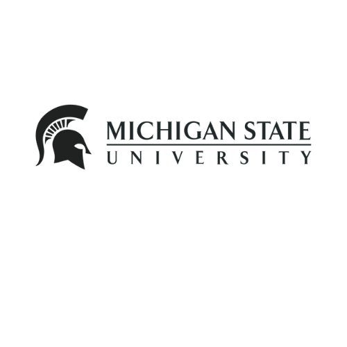 logo-MSU-black.png