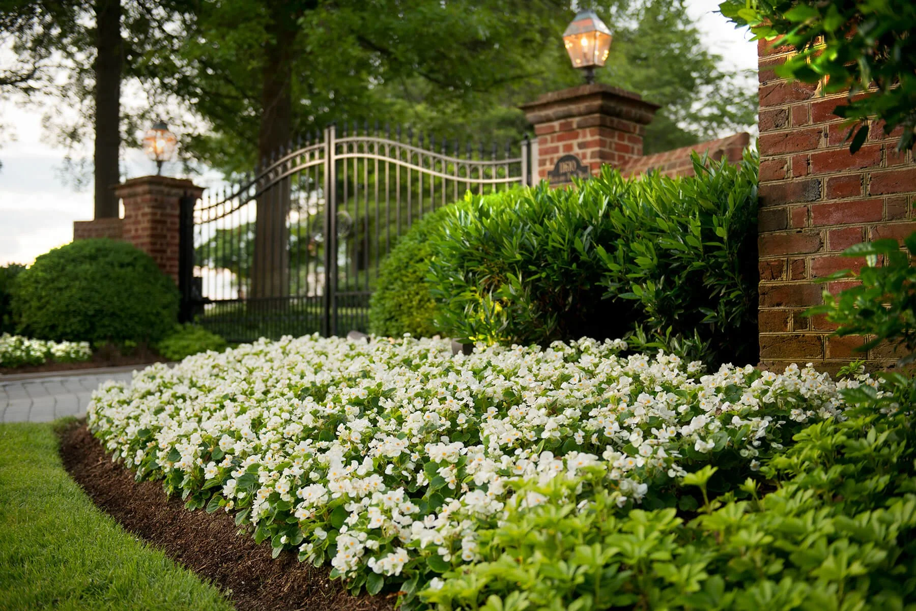 flowers at commercial2.jpeg