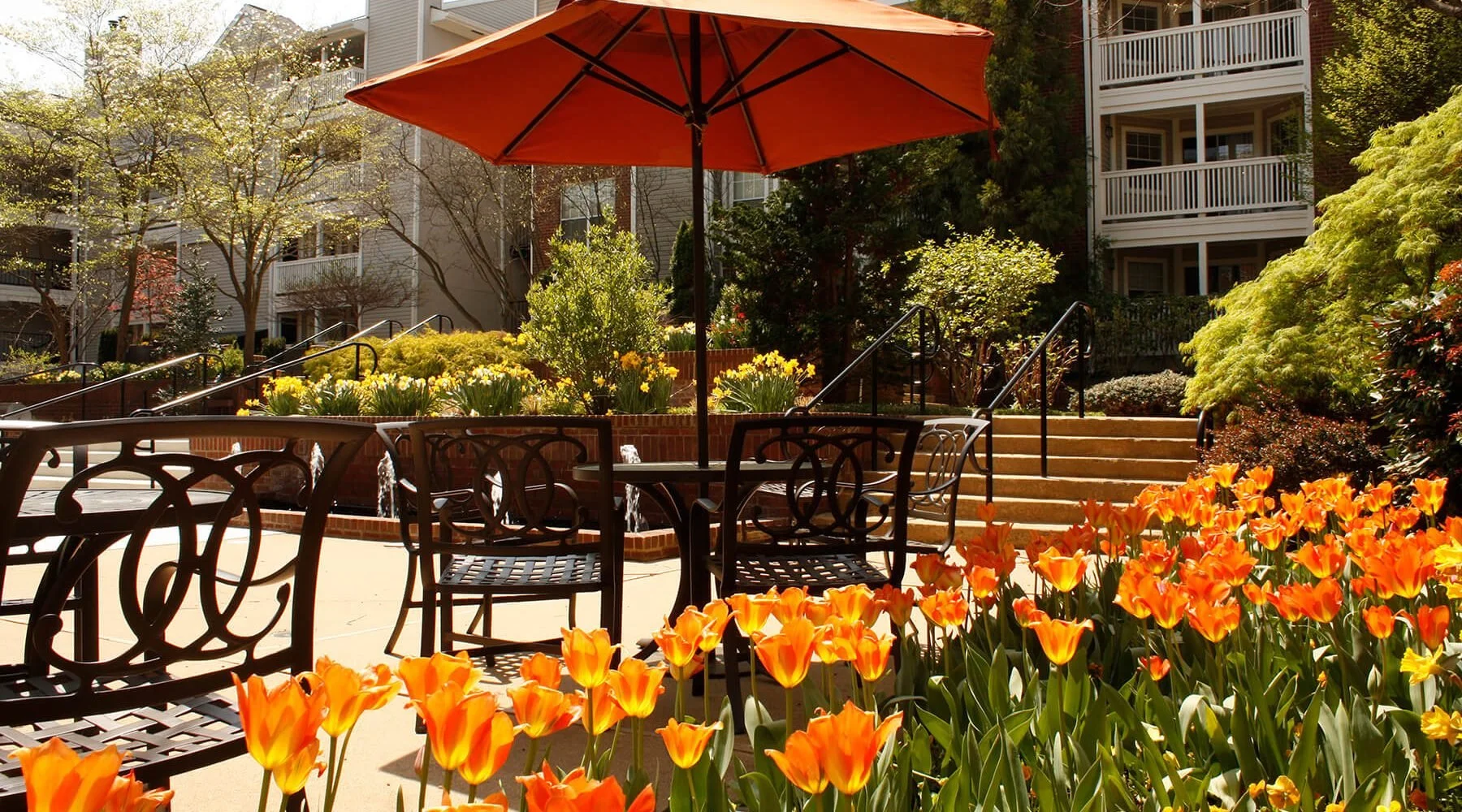 flowers at steps.jpeg