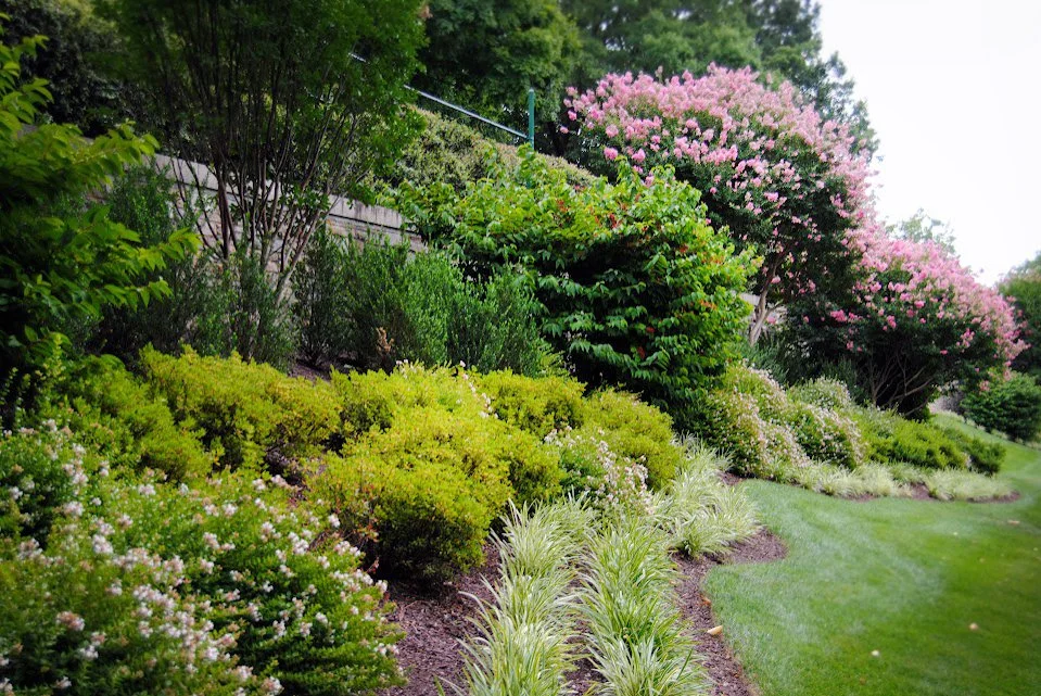 DSC_0441 2.jpg