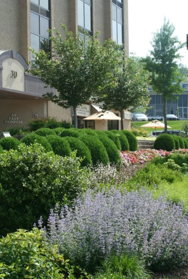 Chapel Valley Landscape Company