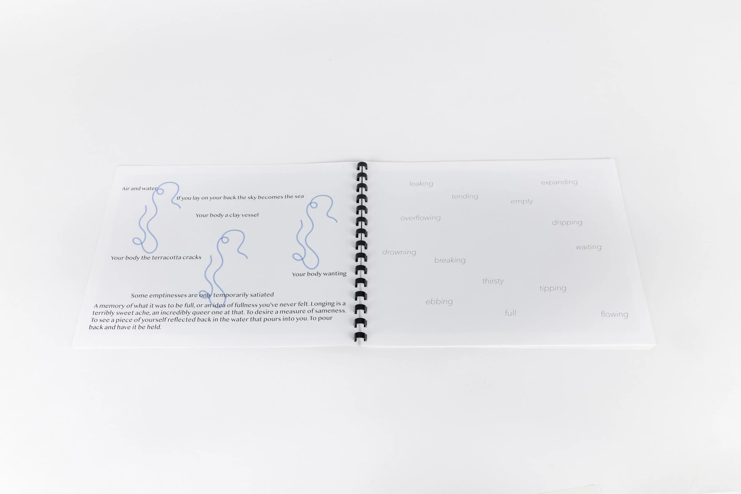 Silhouetteszine1.jpg