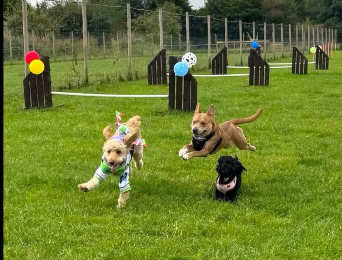 WhatsApp Image 2025-08-20 at 21.40.56_05641f10.jpg